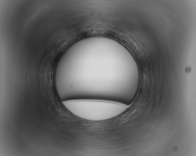 X0000103331250200809051014