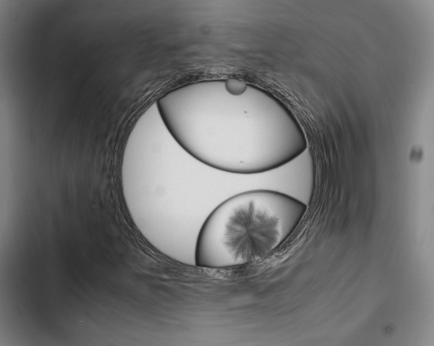 X0000103331251200809051014