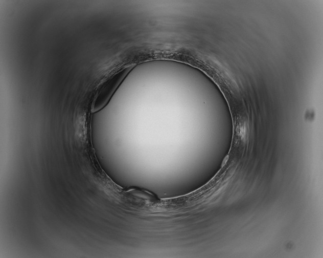 X0000103331252200809051014