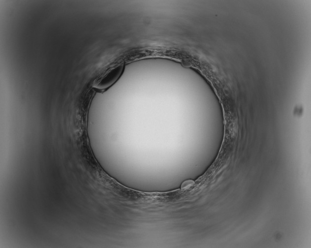 X0000103331253200809051014