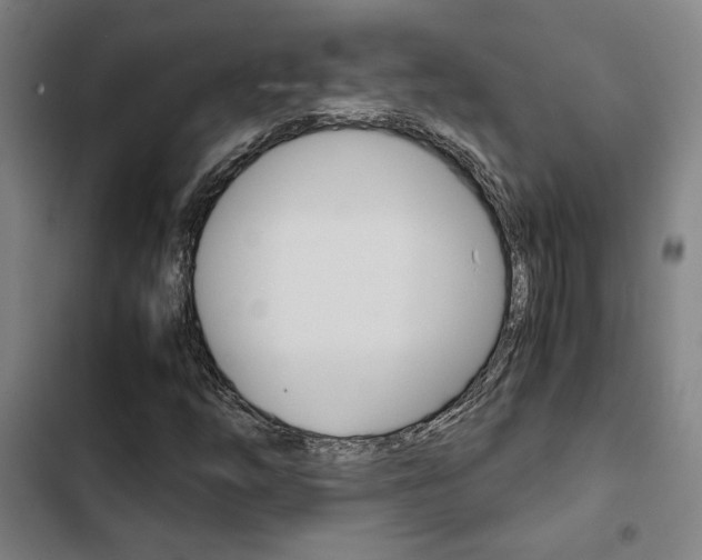 X0000103331254200809051014