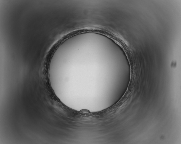 X0000103331256200809051014