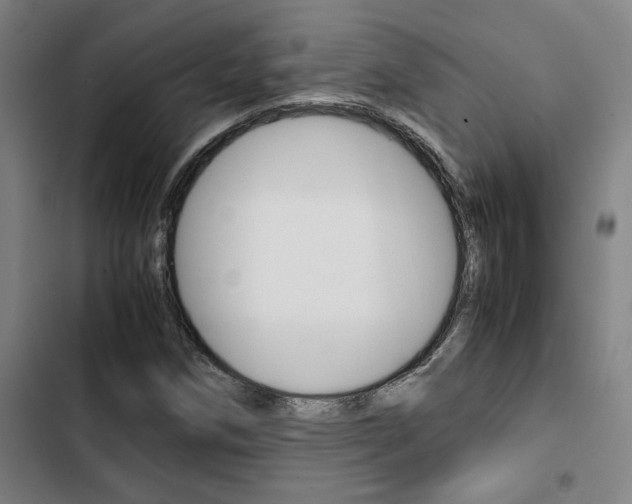 X0000103331258200809051014