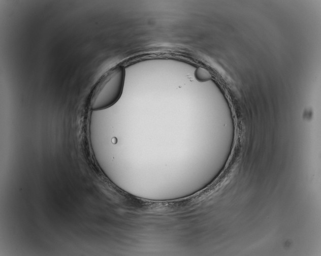 X0000103331259200809051014