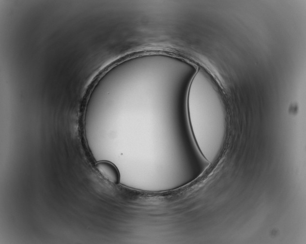 X0000103331260200809051014
