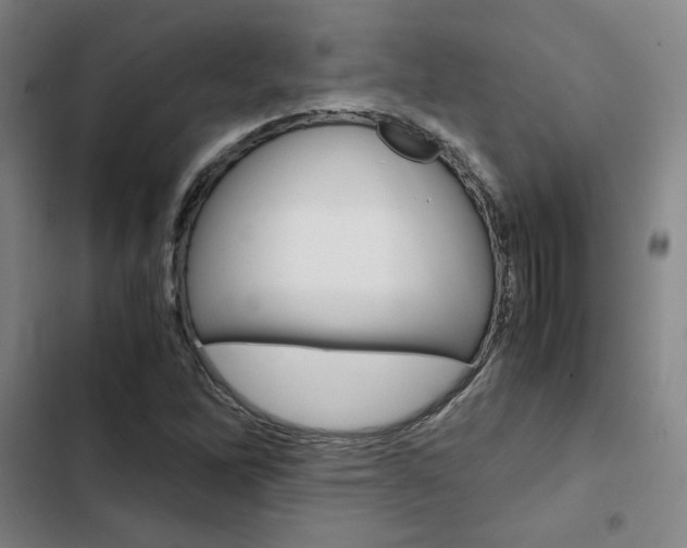 X0000103331262200809051014