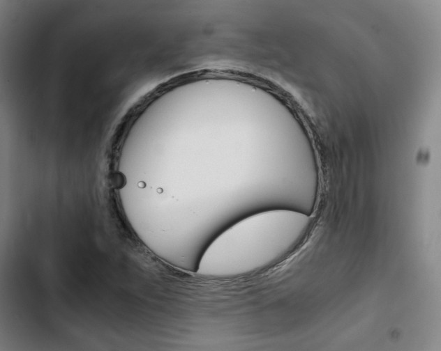 X0000103331263200809051014