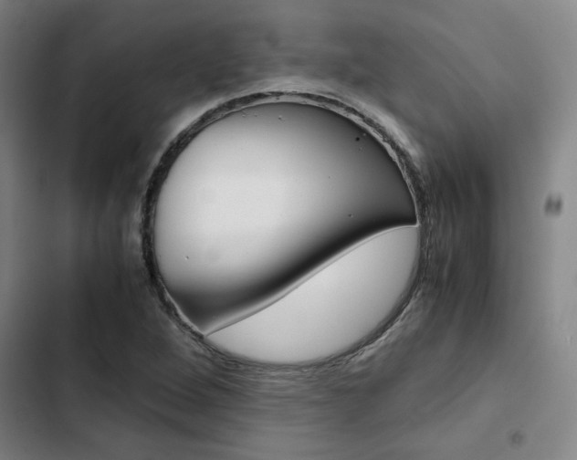 X0000103331264200809051014