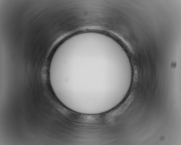X0000103331266200809051014