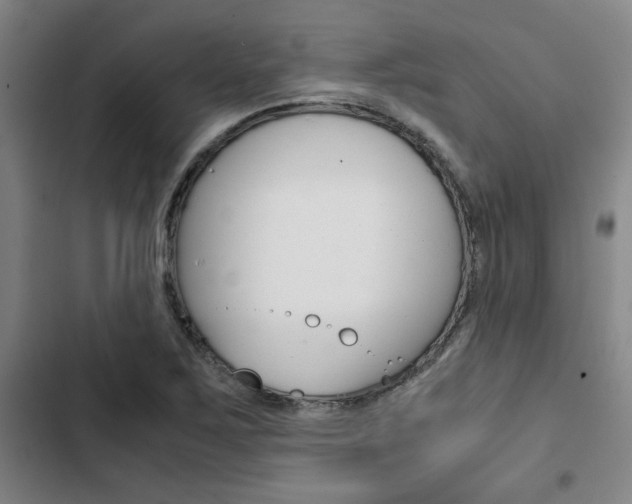 X0000103331267200809051013