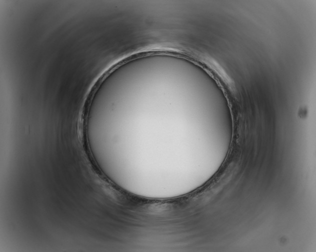 X0000103331268200809051013