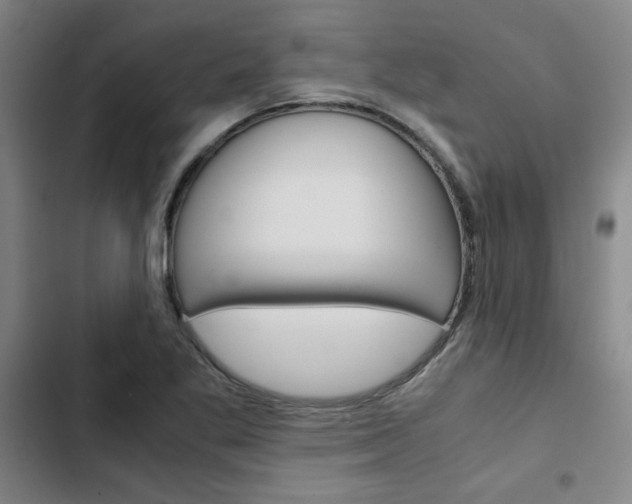 X0000103331269200809051013