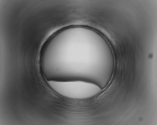 X0000103331270200809051013