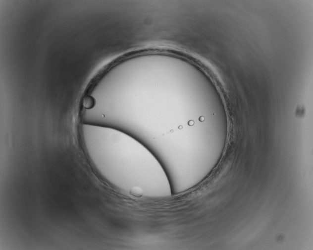 X0000103331271200809051013