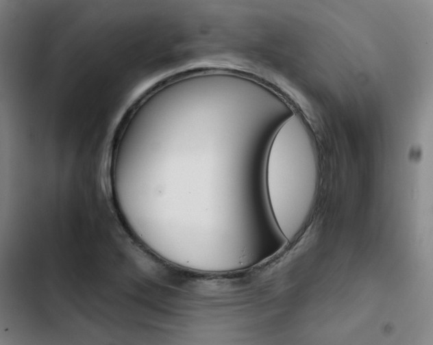 X0000103331272200809051013