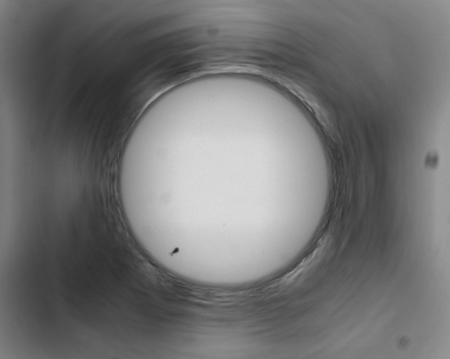 X0000103331273200809051013