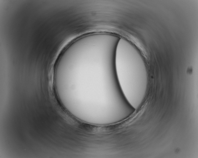 X0000103331275200809051013