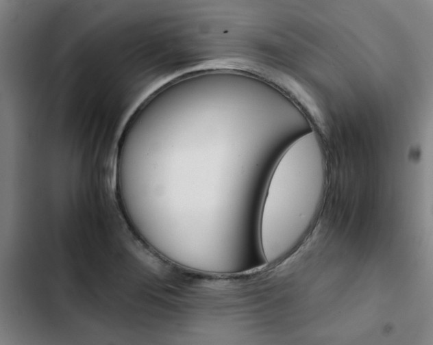 X0000103331276200809051013