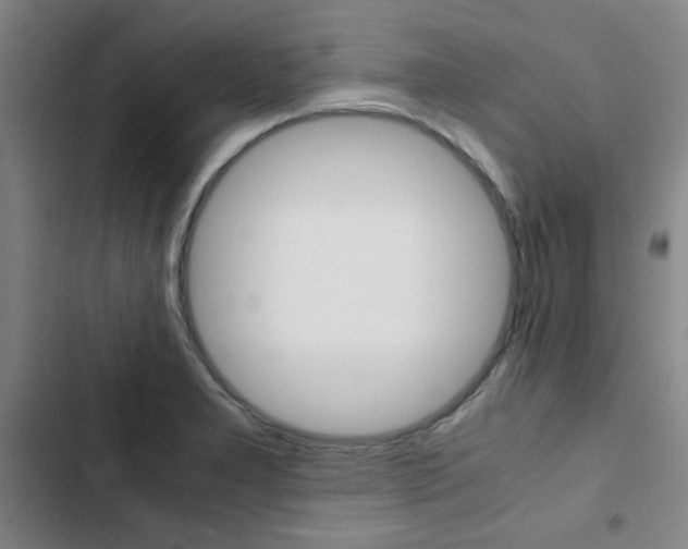 X0000103331277200809051013