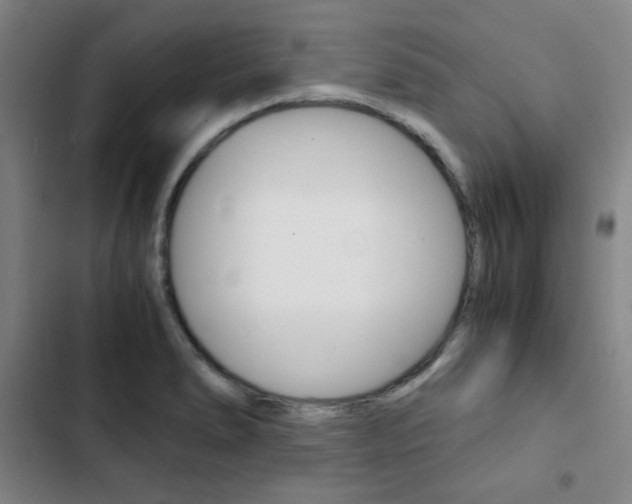 X0000103331278200809051013