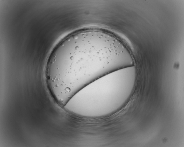 X0000103331279200809051013