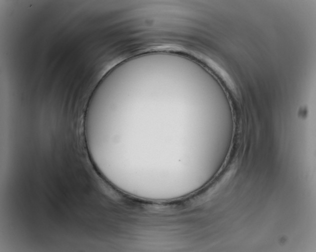 X0000103331281200809051013