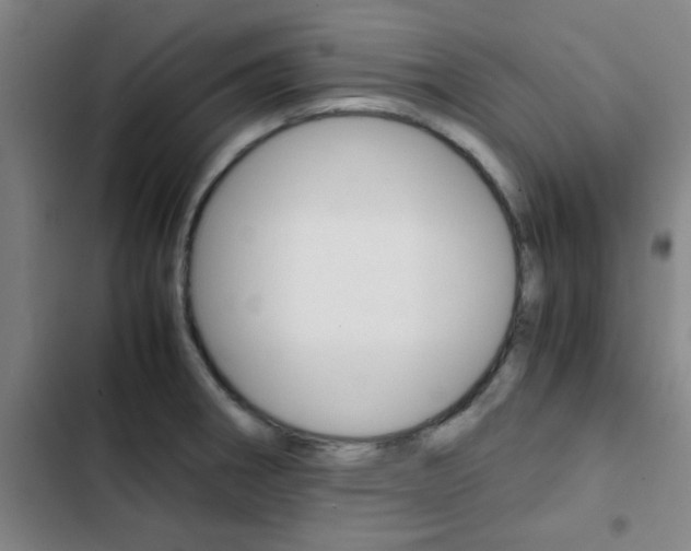 X0000103331282200809051013