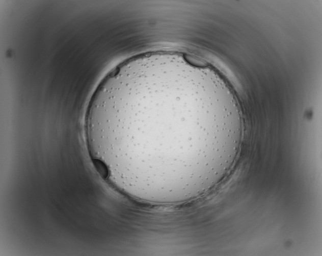X0000103331283200809051013