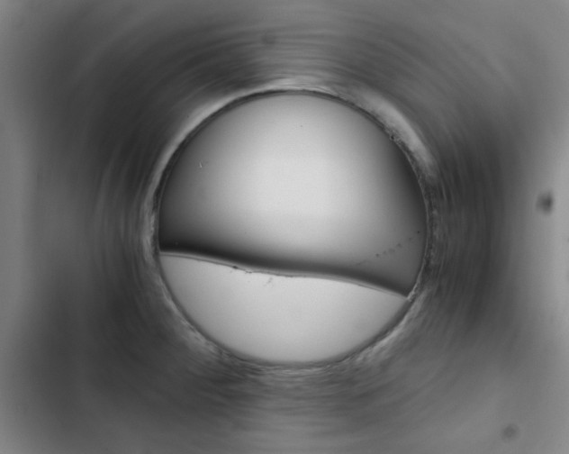 X0000103331284200809051013