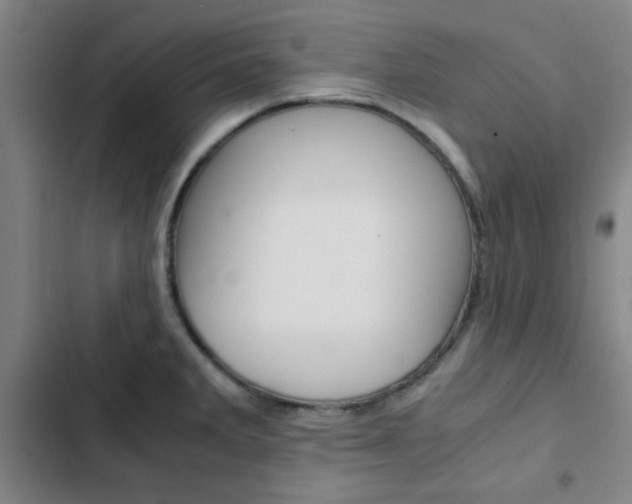 X0000103331285200809051013