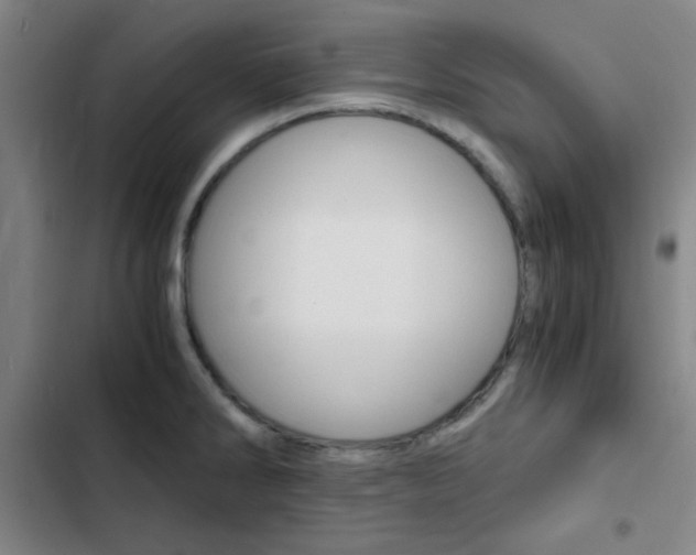 X0000103331286200809051013