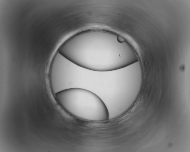 X0000103331287200809051013