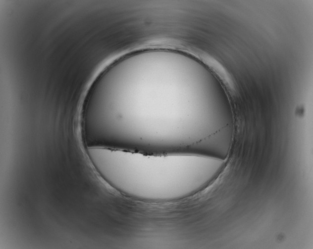 X0000103331288200809051013