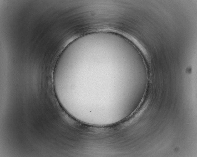 X0000103331289200809051013
