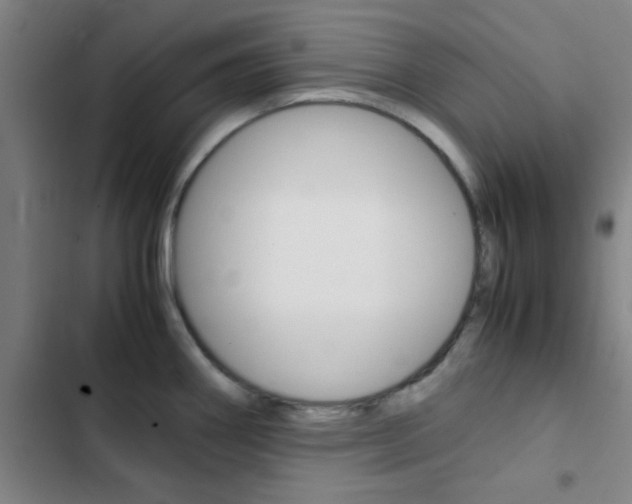 X0000103331290200809051013