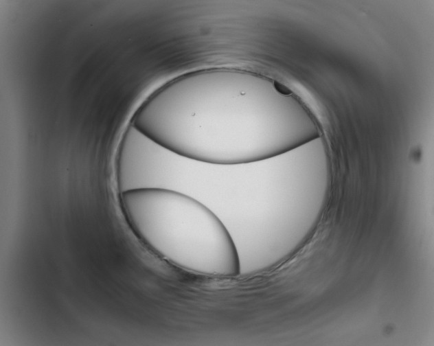 X0000103331291200809051013