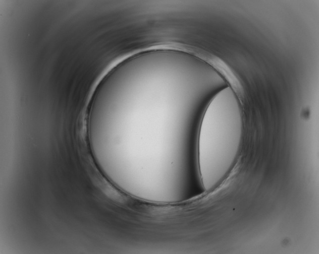 X0000103331292200809051013