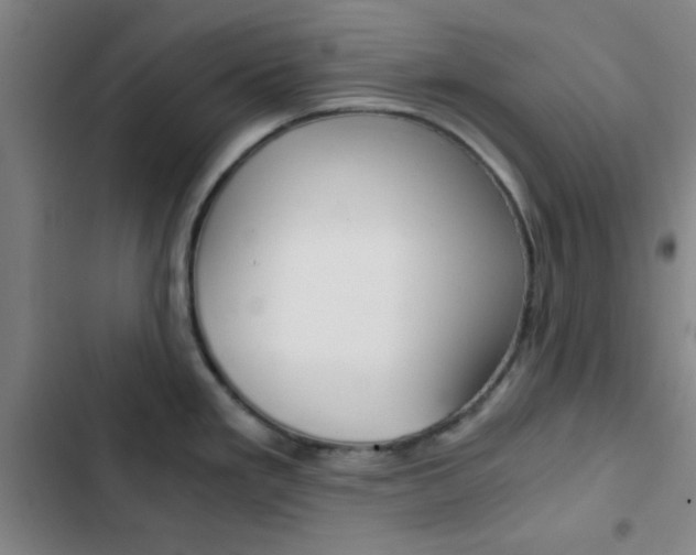 X0000103331293200809051013