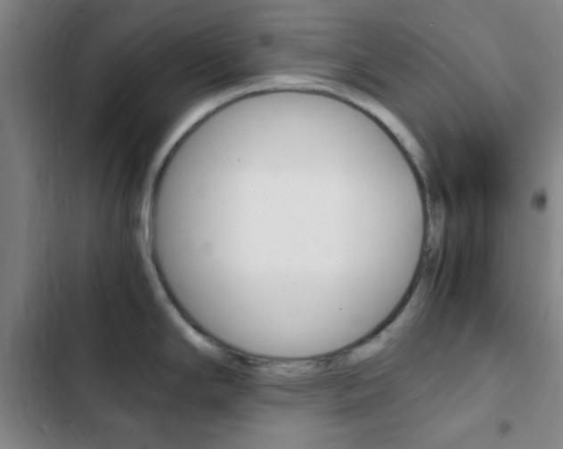 X0000103331294200809051013