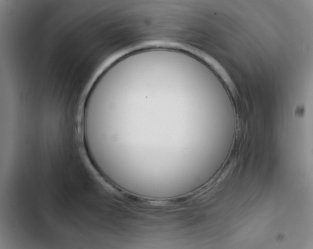 X0000103331295200809051013