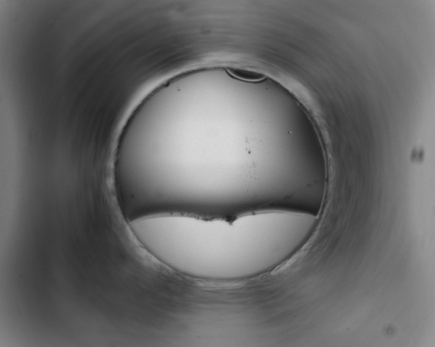 X0000103331296200809051013
