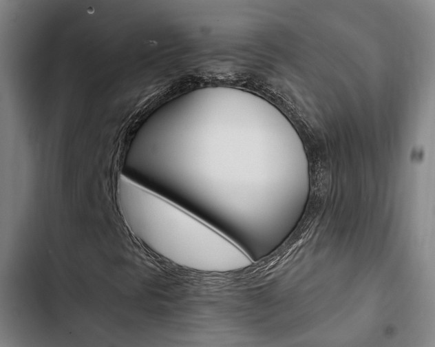 X0000103331297200809051012