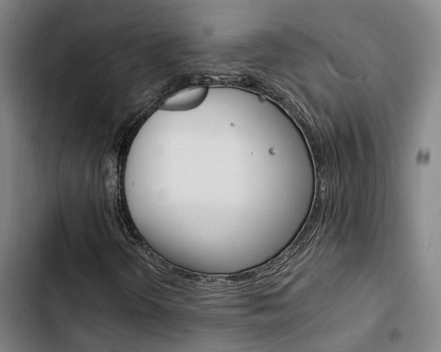 X0000103331298200809051012