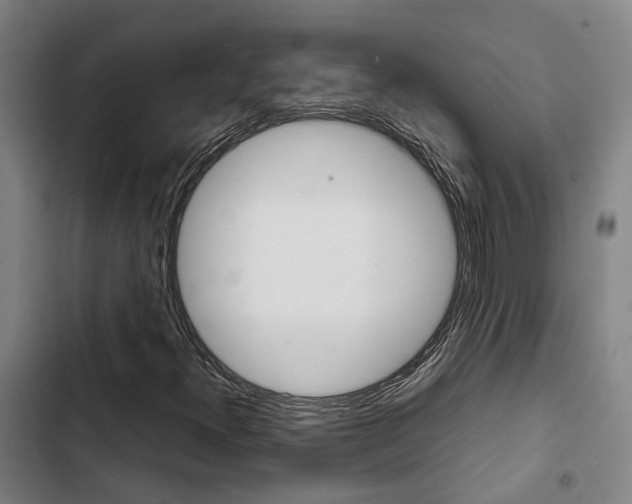 X0000103331300200809051012