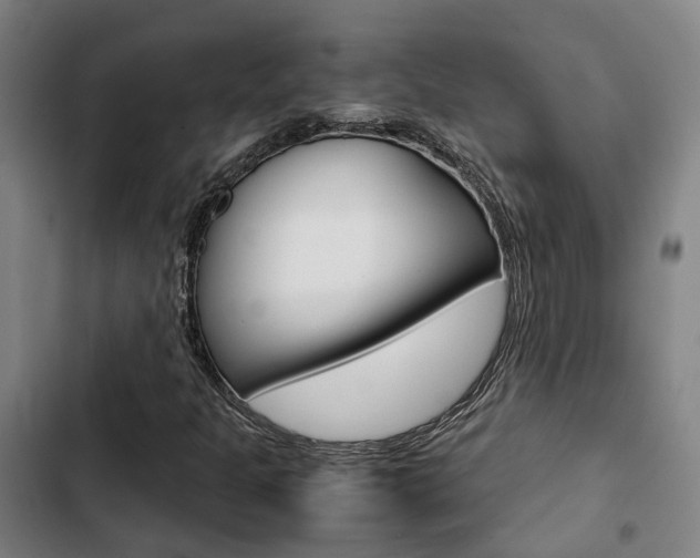 X0000103331301200809051012