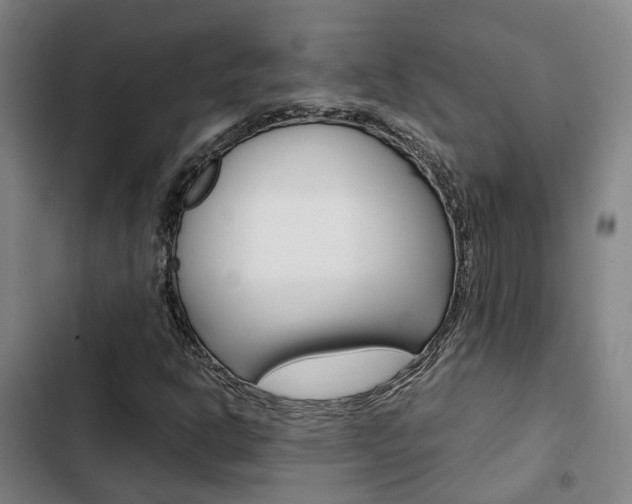 X0000103331302200809051013