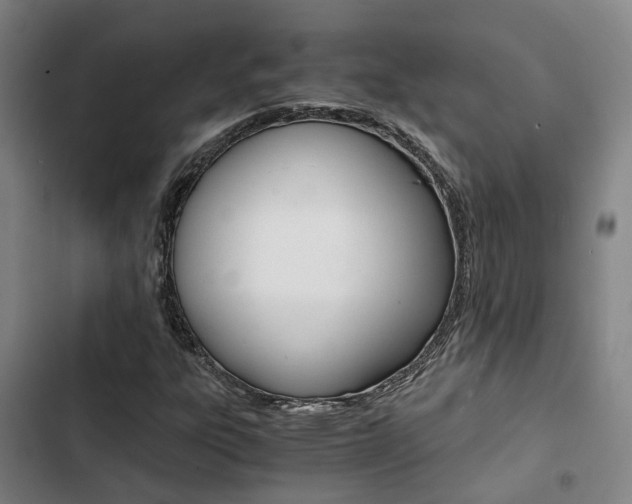X0000103331303200809051013