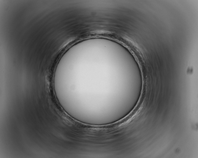 X0000103331305200809051013