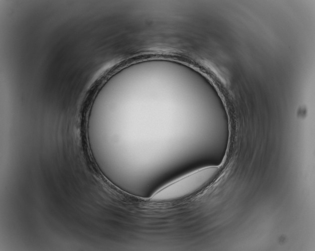 X0000103331307200809051013
