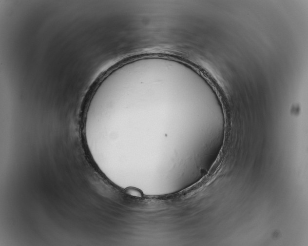 X0000103331308200809051013